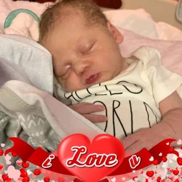 Meet your Posher, Rita - Picture 1 of 1